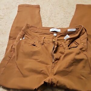 Judy Blue Women's Skinny Jeans in Brown